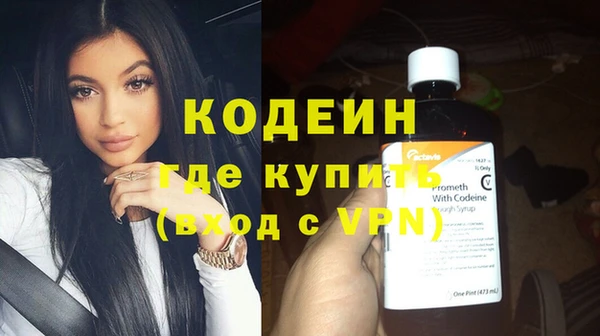 шишки Коряжма