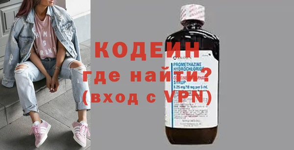 шишки Коряжма