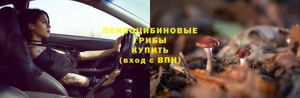 шишки Коряжма
