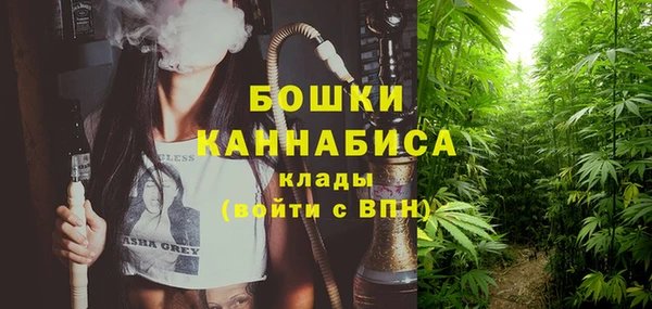 шишки Коряжма