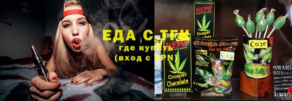 шишки Коряжма