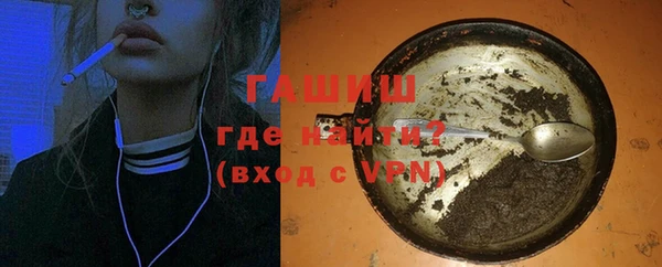 шишки Коряжма