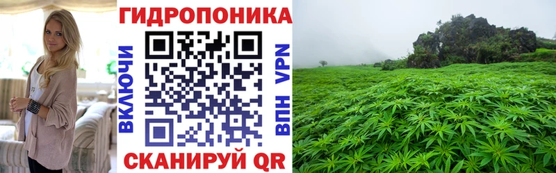 мега ТОР Сарапул МАРИХУАНА Amnesia как найти